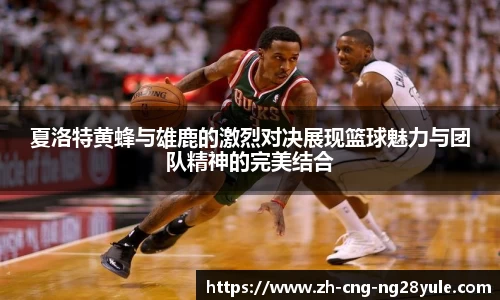 夏洛特黄蜂与雄鹿的激烈对决展现篮球魅力与团队精神的完美结合